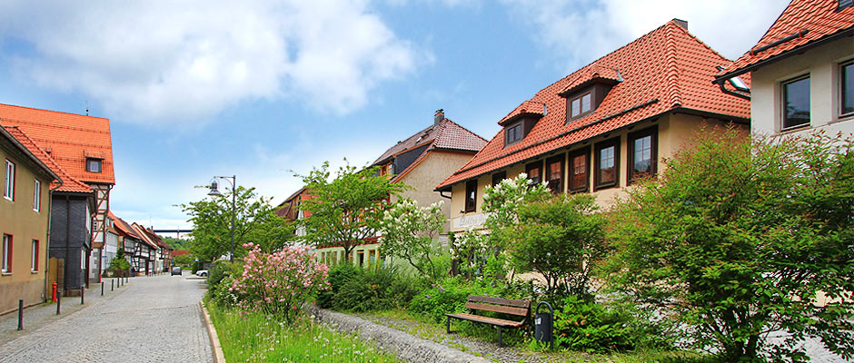 Heinrichs1